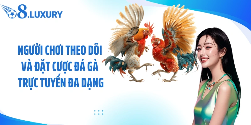 Đá Gà 67 Tại O8 - Trải Nghiệm Cá Cược Đấu Kê Trực Tuyến Hấp Dẫn 3 Người chơi theo dõi và đặt cược đá gà trực tuyến đa dạng